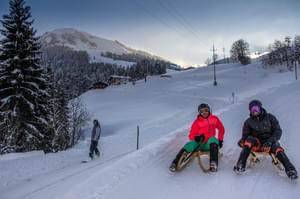 skiwelt rodeln