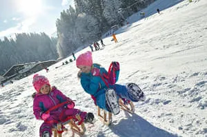 kinderrodelbahnen skiwelt soell